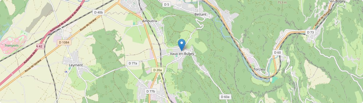 Vaux-en-Bugey - Carte