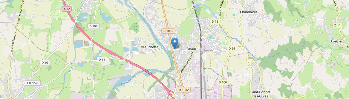 Veauche - Carte