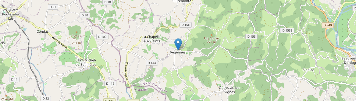 Végennes - Carte