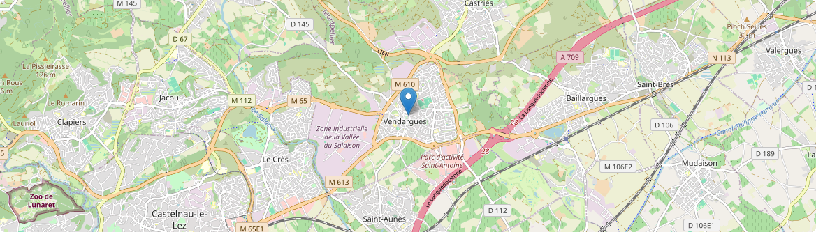Vendargues - Carte