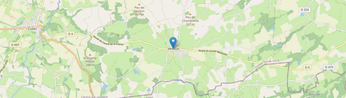 Vesdun - Carte
