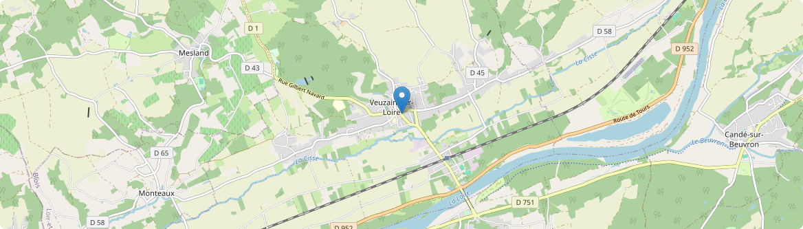 Veuzain-sur-Loire - Carte
