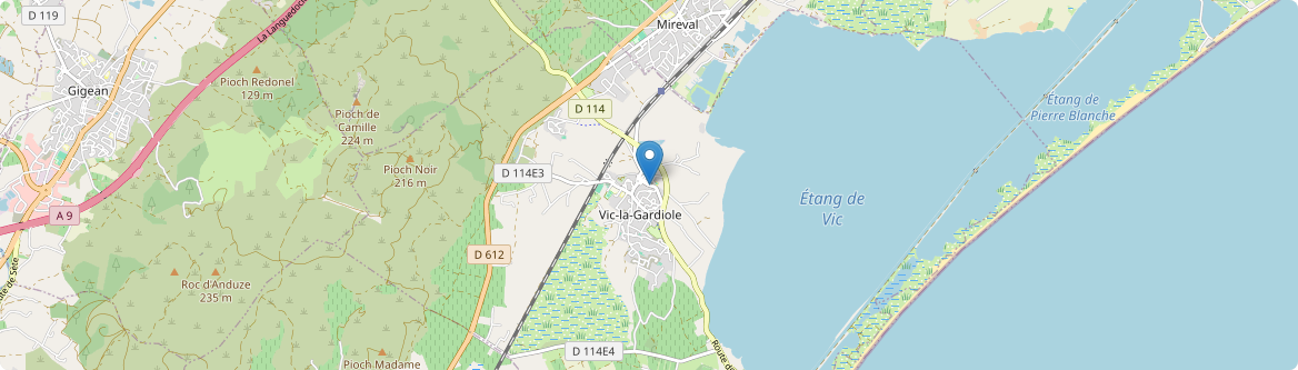 Vic-la-Gardiole - Carte