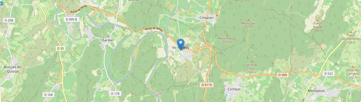 Vic-le-Fesq - Carte