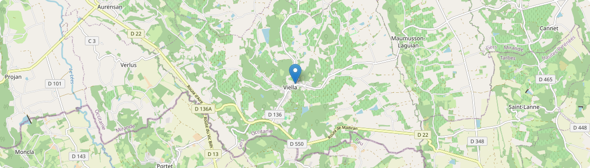 Viella - Carte