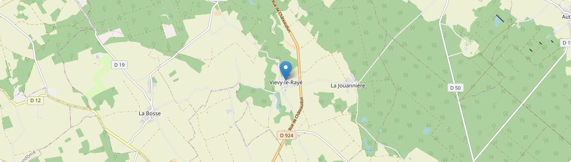 Vievy-le-Rayé - Carte