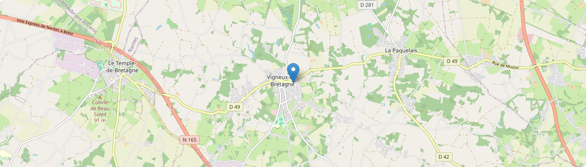 Vigneux-de-Bretagne - Carte