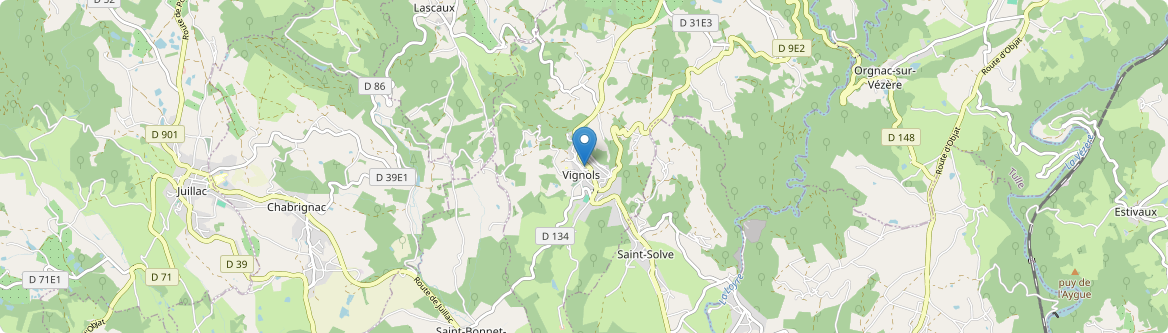 Vignols - Carte