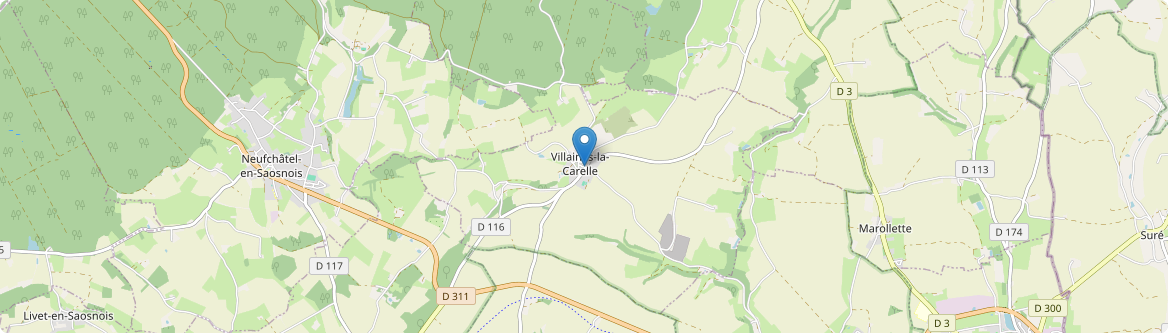 Villaines-la-Carelle - Carte