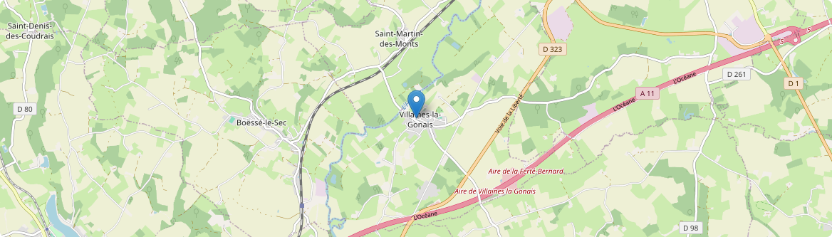 Villaines-la-Gonais - Carte