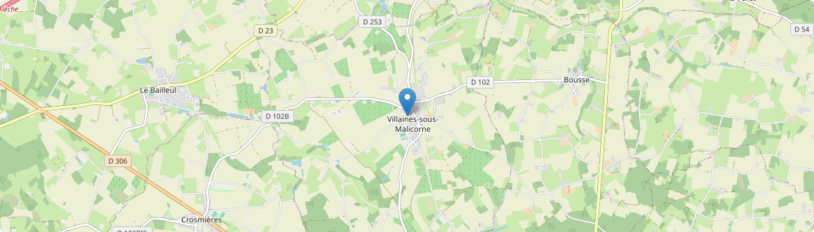 Villaines-sous-Malicorne - Carte