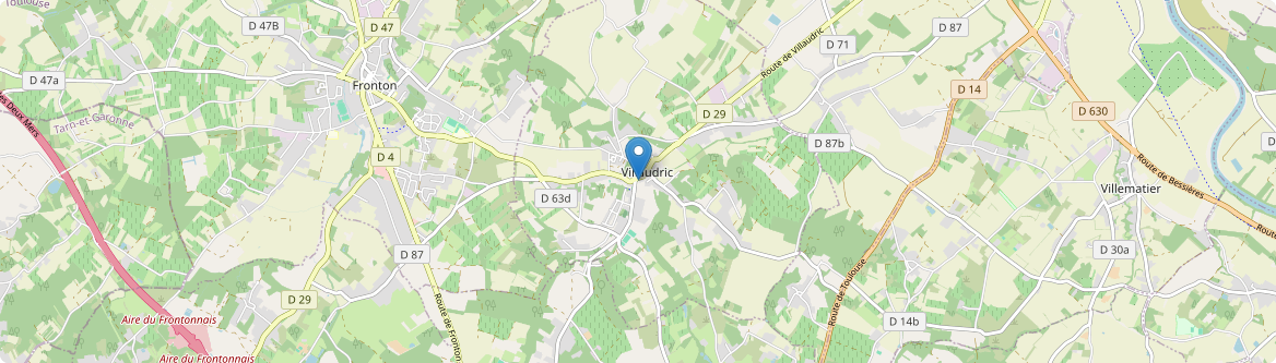 Villaudric - Carte