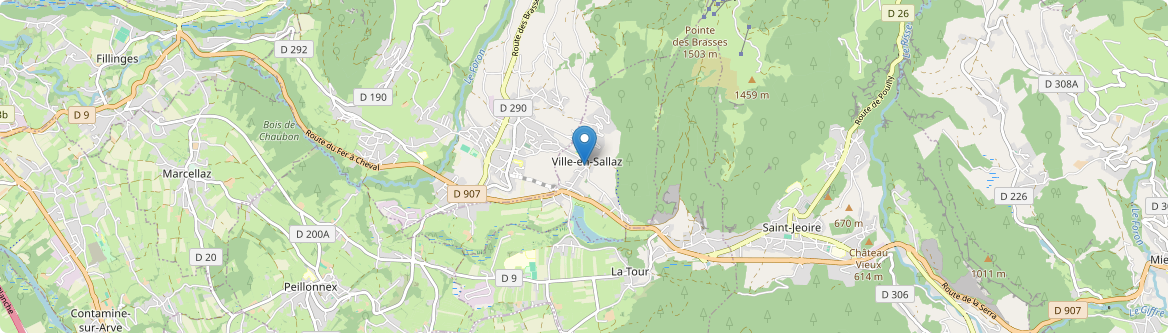 Ville-en-Sallaz - Carte