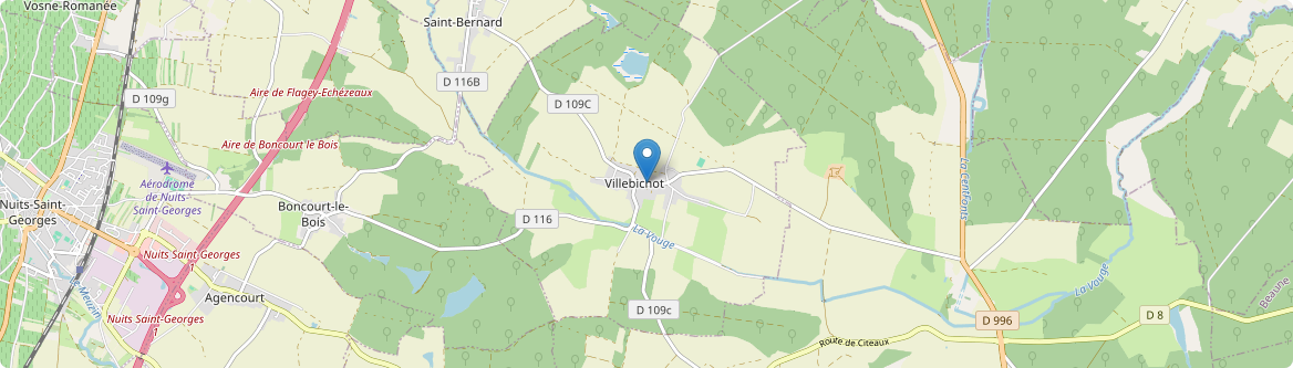 Villebichot - Carte