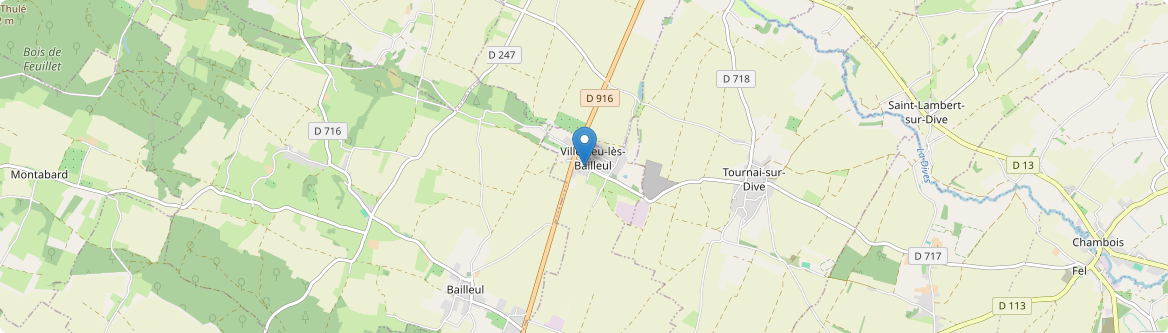 Villedieu-lès-Bailleul - Carte
