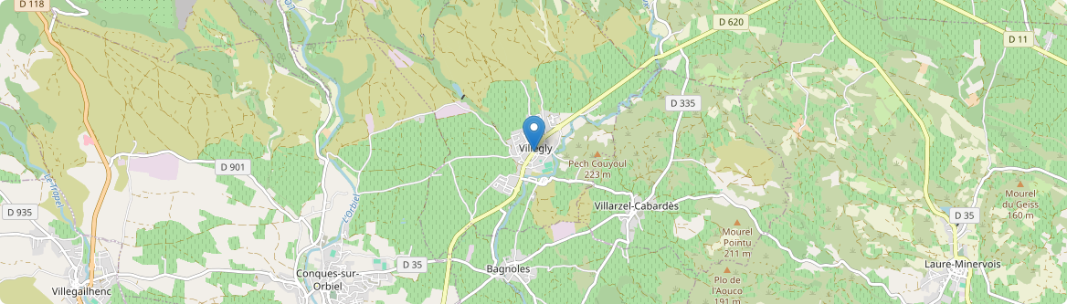 Villegly - Carte