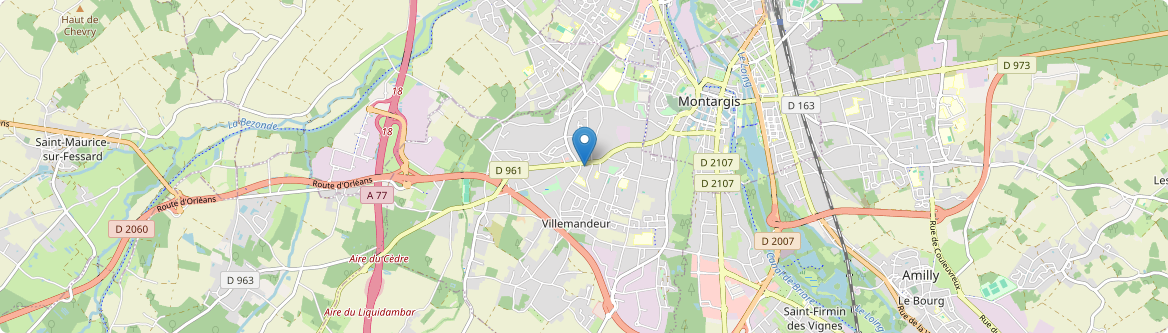 Villemandeur - Carte