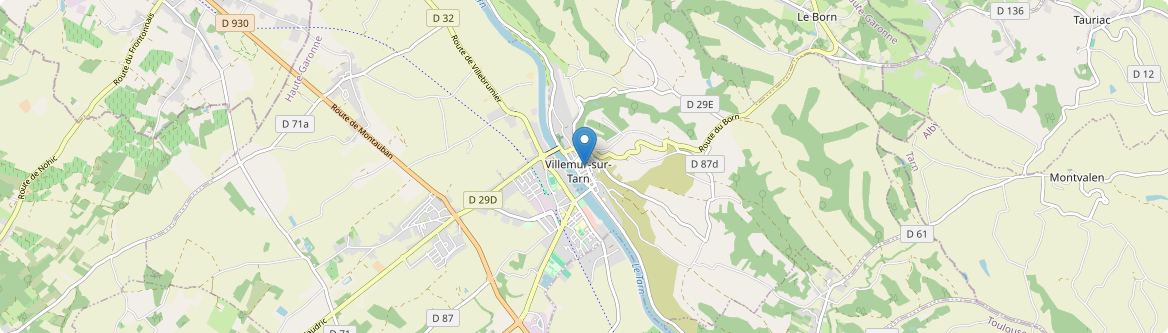 Villemur-sur-Tarn - Carte