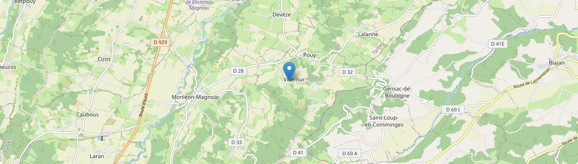 Villemur - Carte