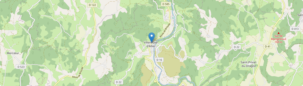 Villeneuve-d'Allier - Carte