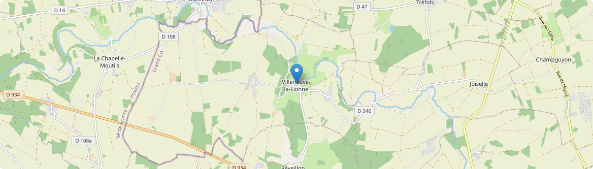Villeneuve-la-Lionne - Carte