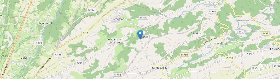 Villeneuve-Lécussan - Carte