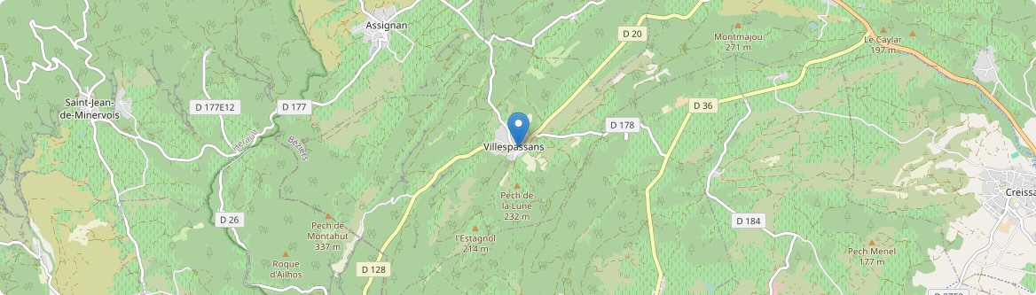 Villespassans - Carte