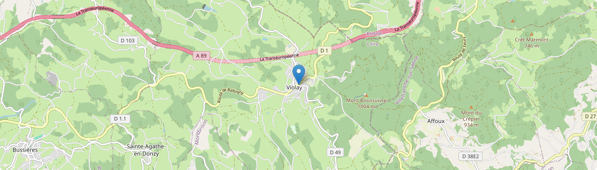 Violay - Carte