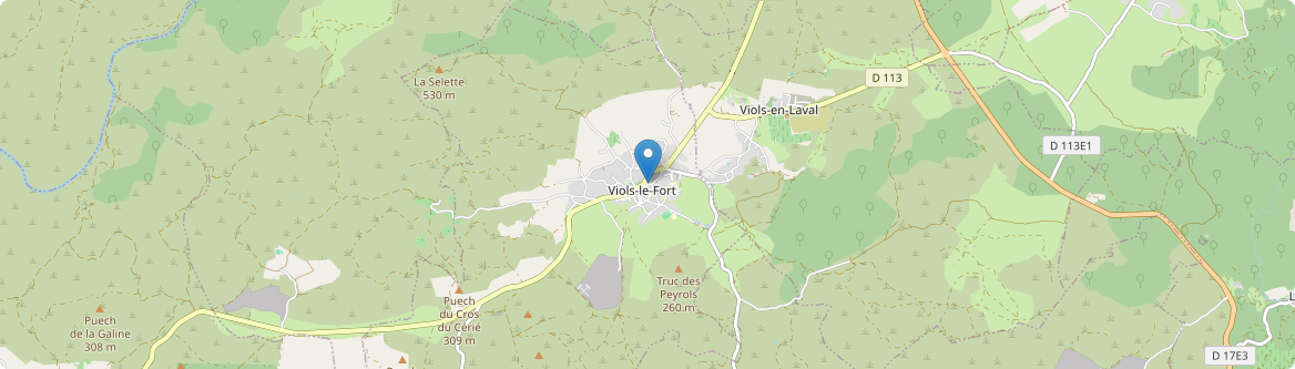 Viols-le-Fort - Carte