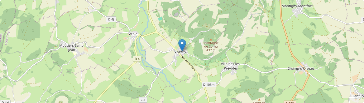 Viserny - Carte