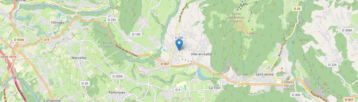 Viuz-en-Sallaz - Carte