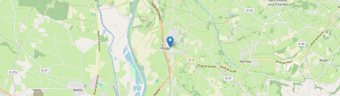 Vougy - Carte