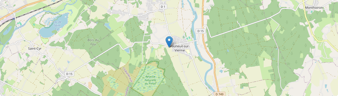 Vouneuil-sur-Vienne - Carte