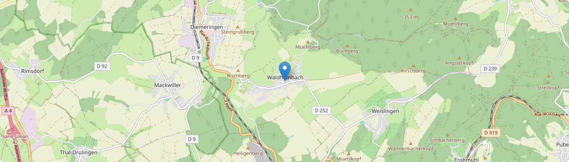 Waldhambach - Carte