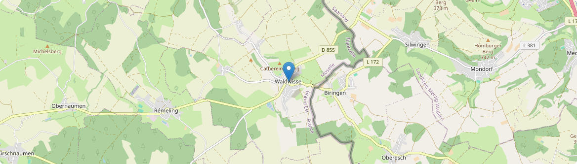 Waldwisse - Carte