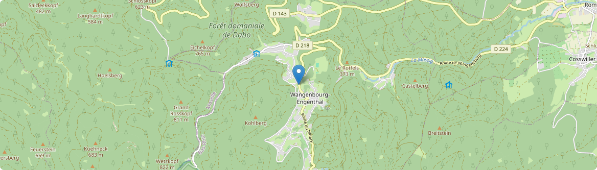 Wangenbourg-Engenthal - Carte