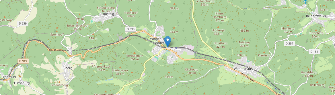 Wingen-sur-Moder - Carte