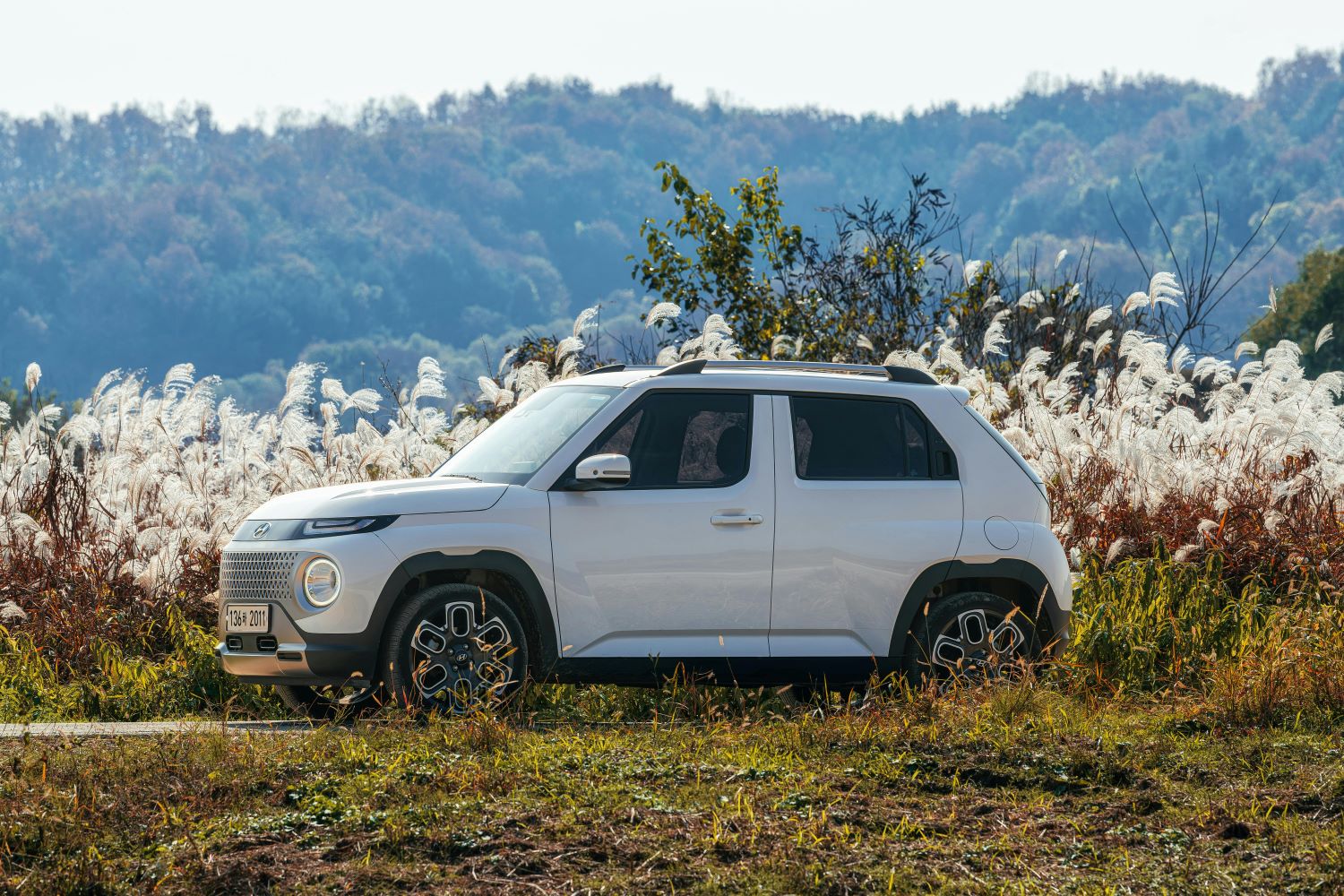 Sprawdzone Suzuki – kupuj mądrze i bez ryzyka