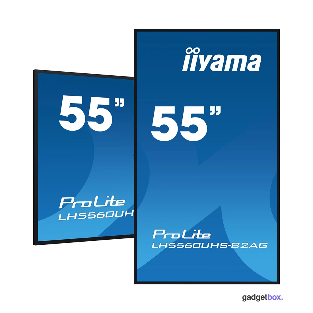 Монитор iiyama PROLITE PL5560U LH5560UHS-B2AG 55"