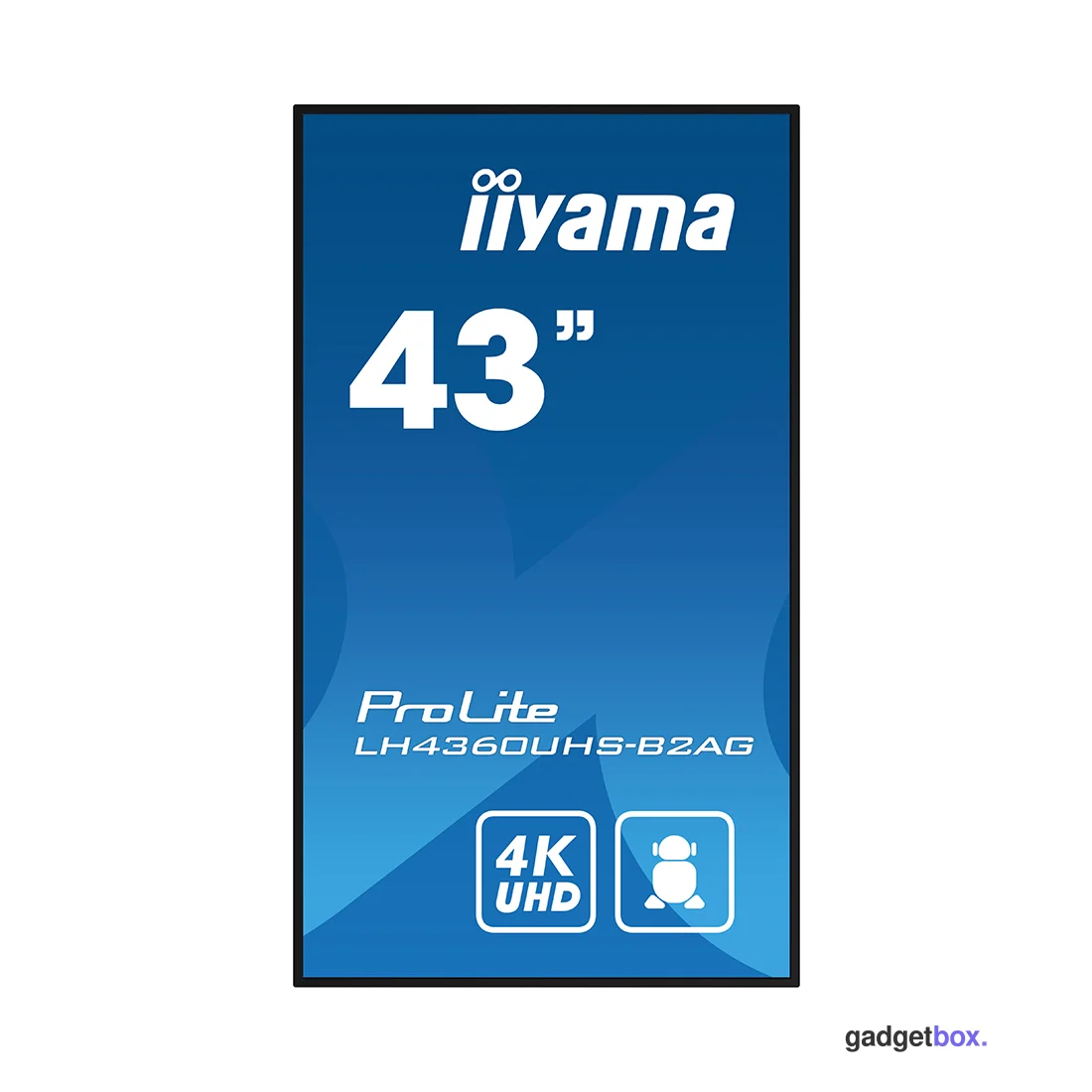 Монитор iiyama PROLITE PL4360 LH4360UHS-B2AG 43"