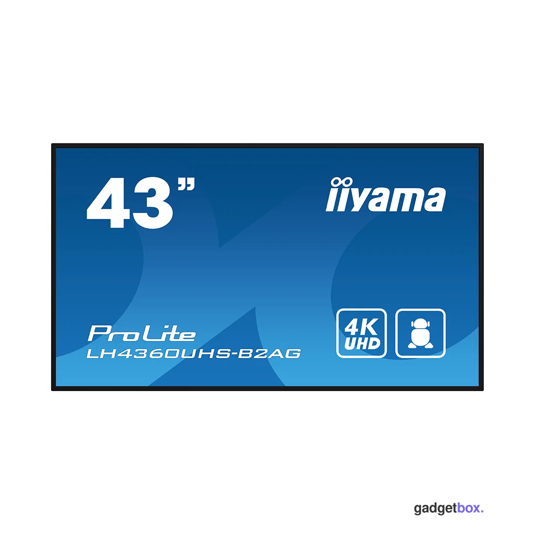 Монитор iiyama PROLITE PL4360 LH4360UHS-B2AG 43"