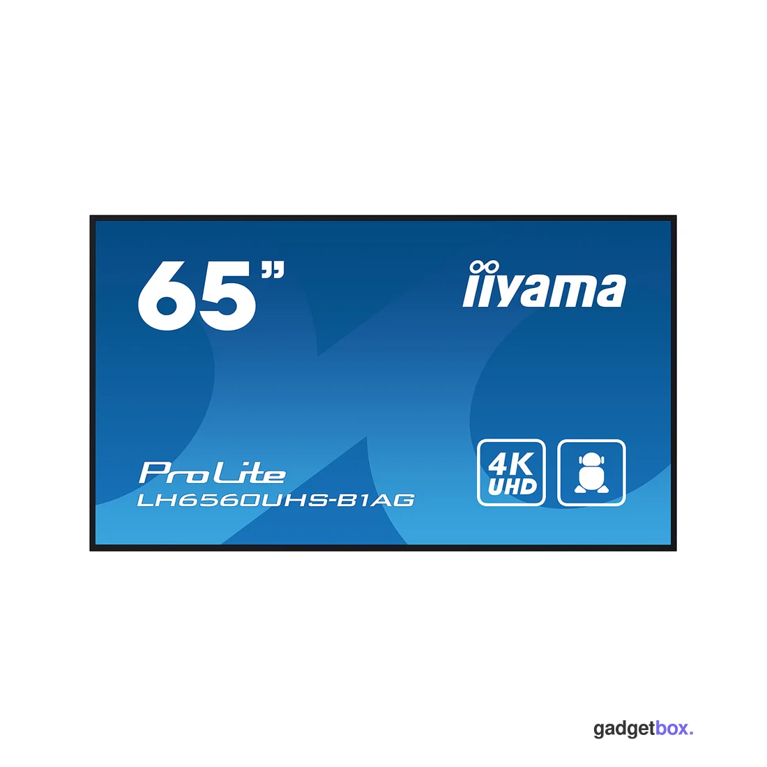 Монитор iiyama PROLITE LH6560UHS-B1AG 65"