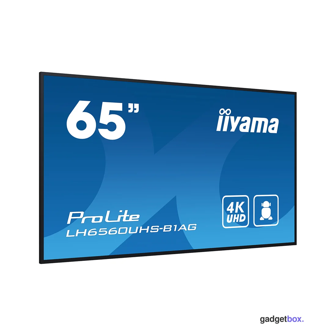 Монитор iiyama PROLITE LH6560UHS-B1AG 65"