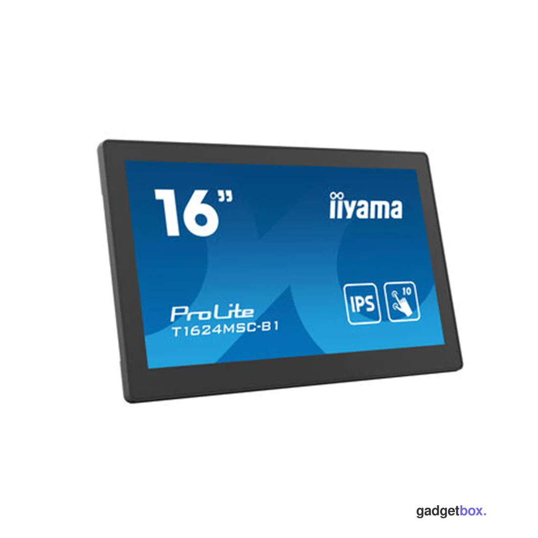 Монитор iiyama ProLite PLT1624M T1624MSC-B1 16"