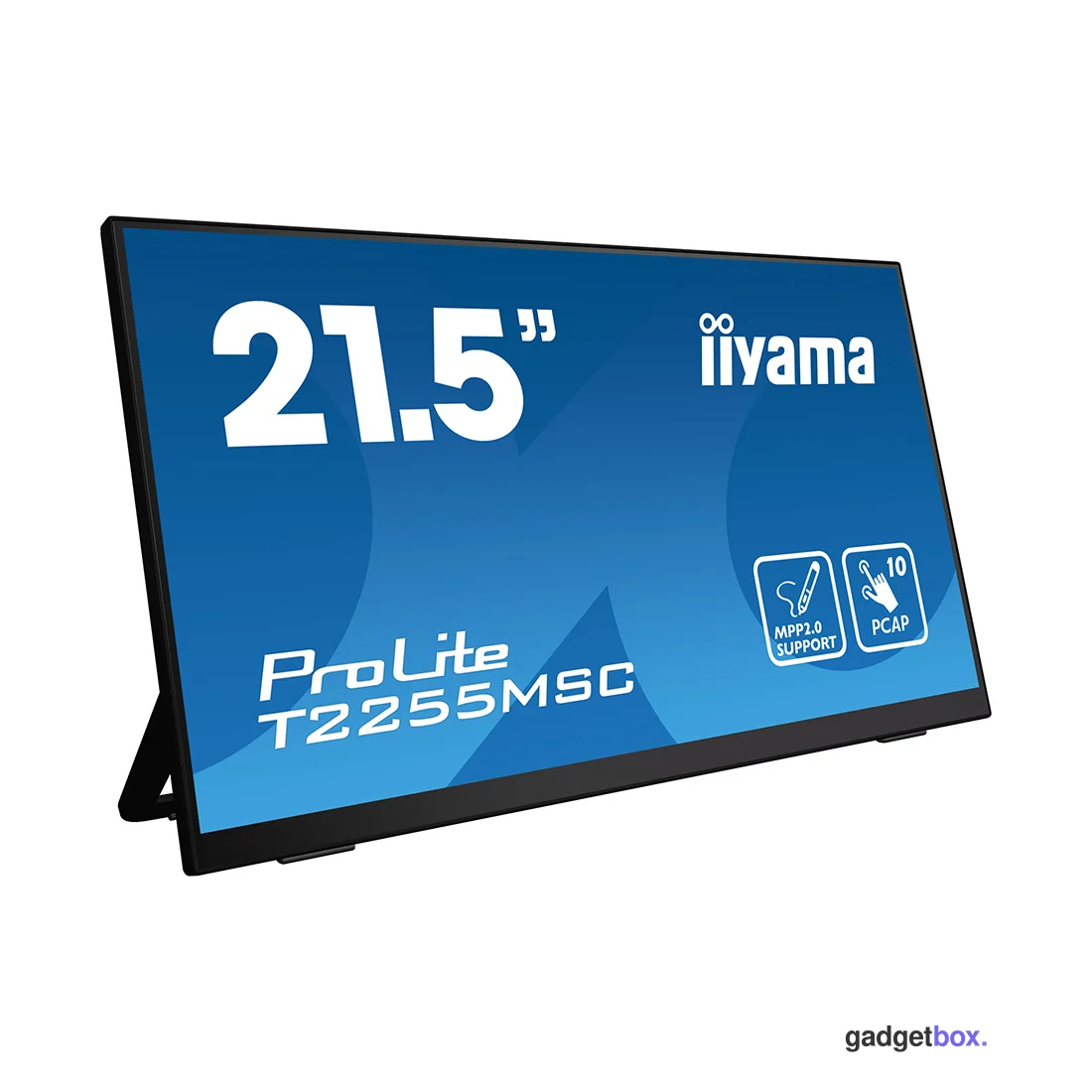 Монитор iiyama ProLite PL2255M T2255MSC-B1 21.5"