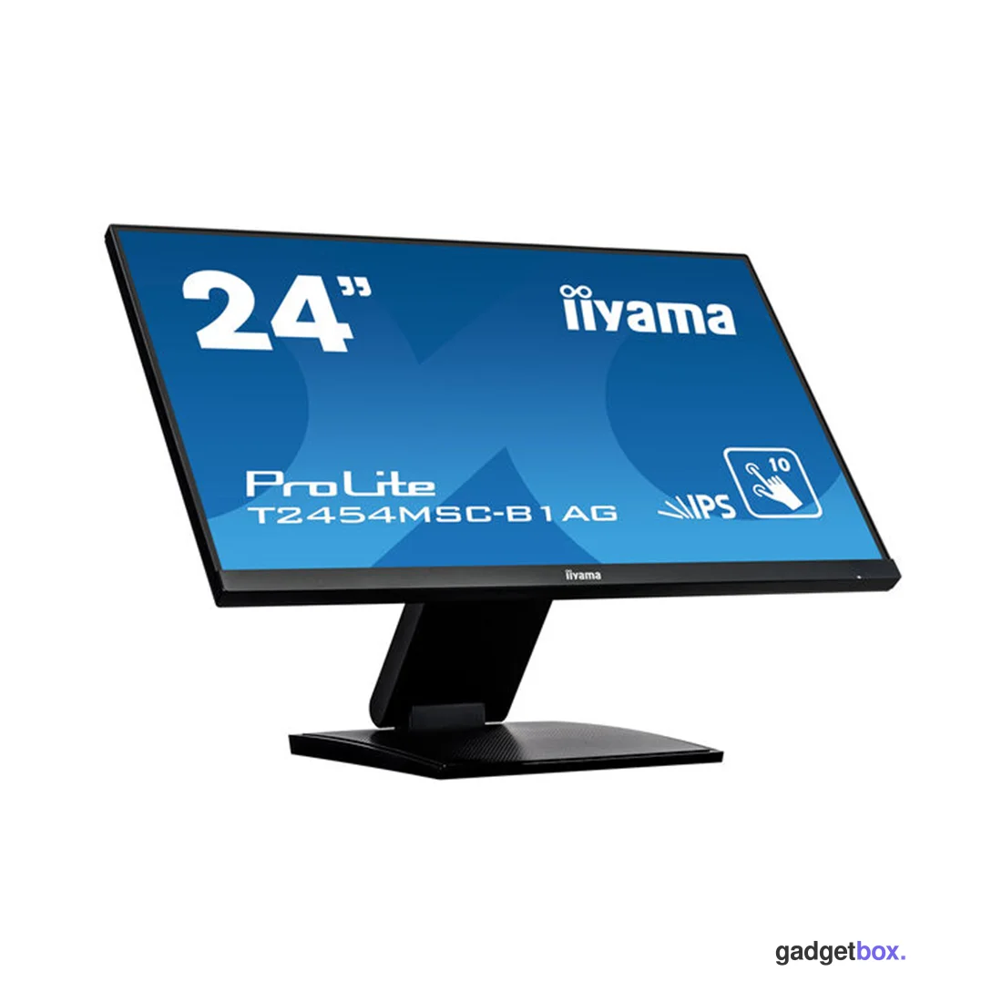 Монитор iiyama ProLite PLT2454M T2454MSC-B3AG A 24"