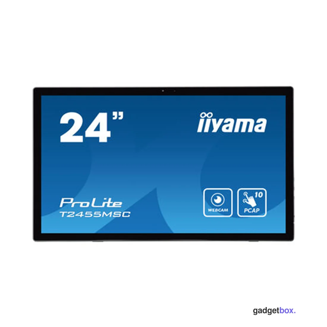 Монитор iiyama ProLite PL2455M T2455MSC-B1 24"