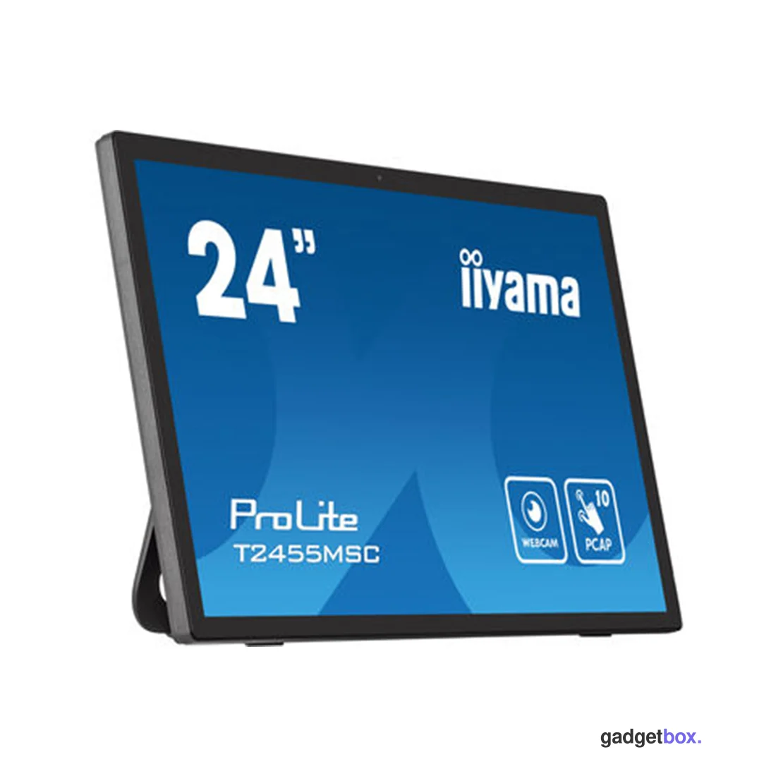 Монитор iiyama ProLite PL2455M T2455MSC-B1 24"