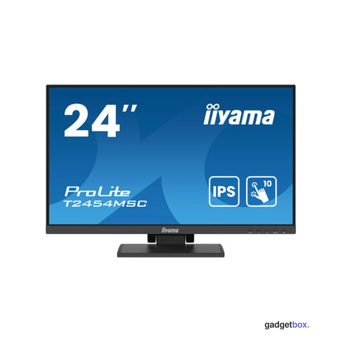 Монитор iiyama ProLite PL2454M T2454MSC-B2AG 24"