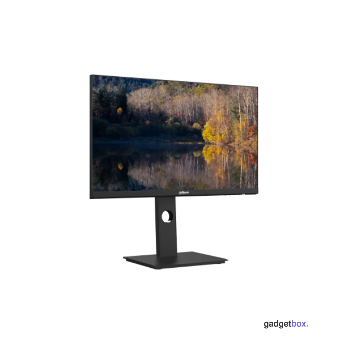 Монитор 27" Dahua DHI-LM27-P301A